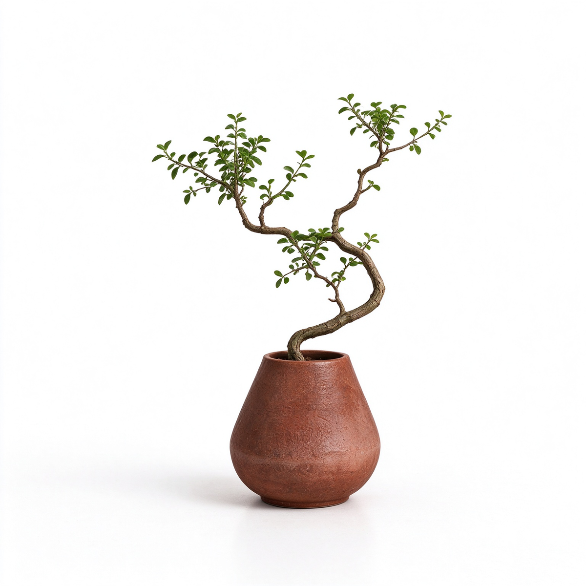 Artificial Twisted Bonsai Potted Plant