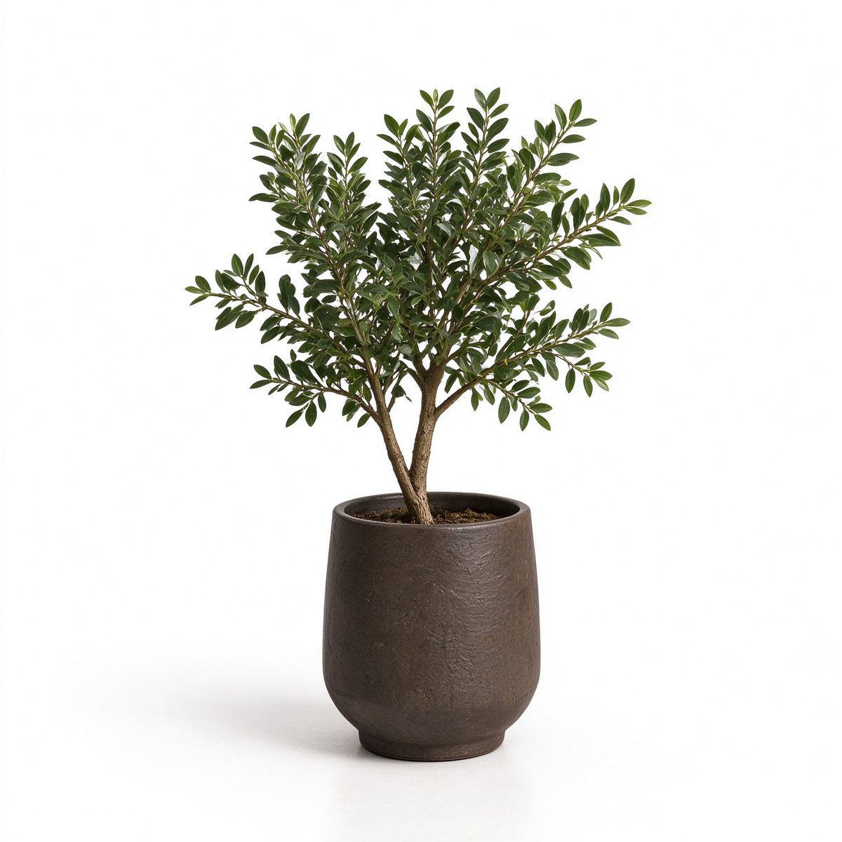 Artificial Boxwood Shrub Potted Plant