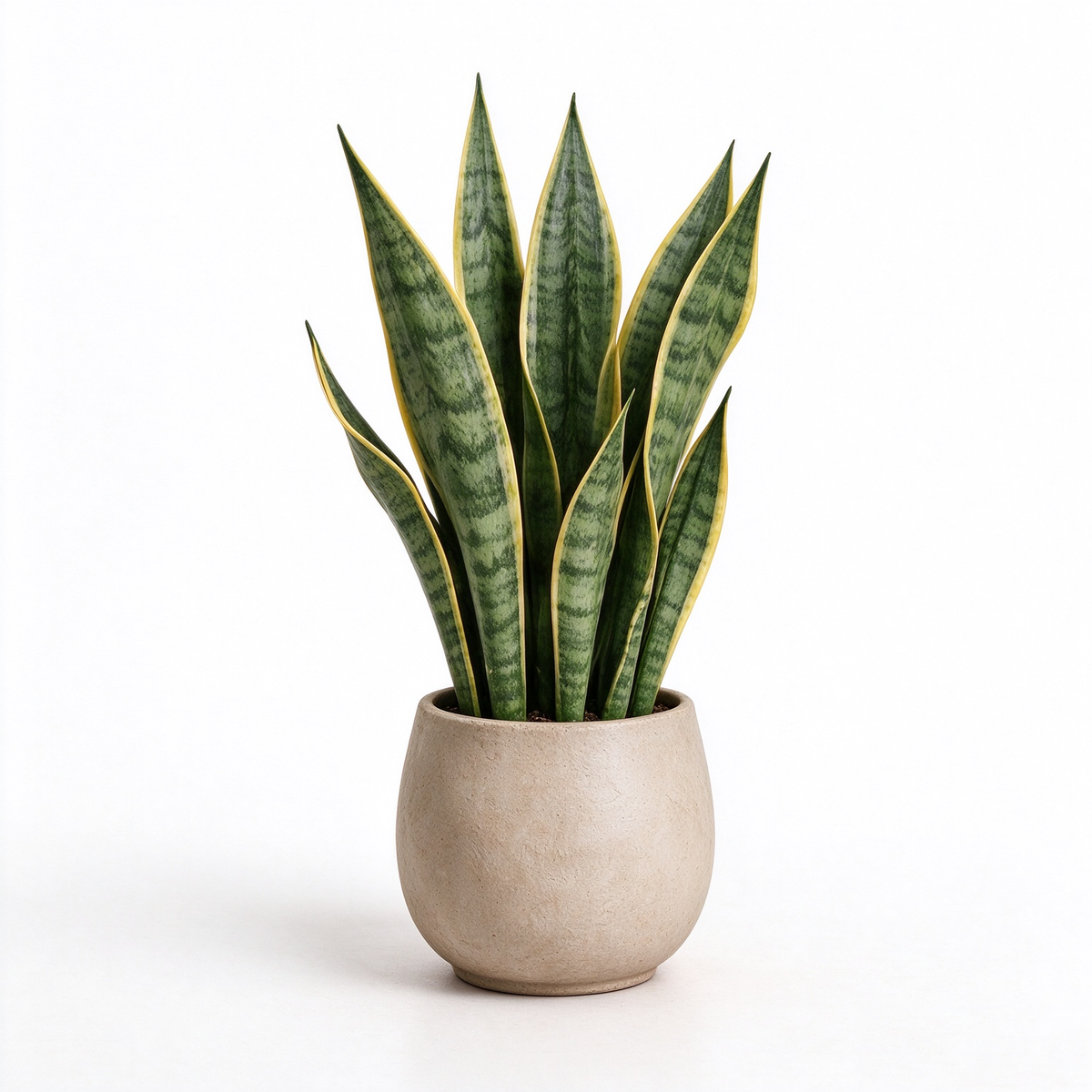Artificial Snake Plant Potted Plant
