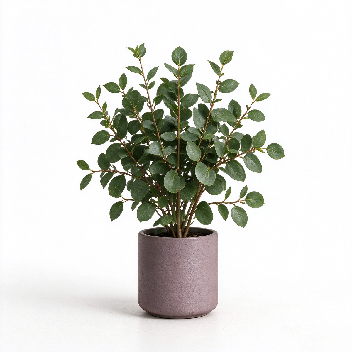 Artificial Leafy Shrub Potted Plant
