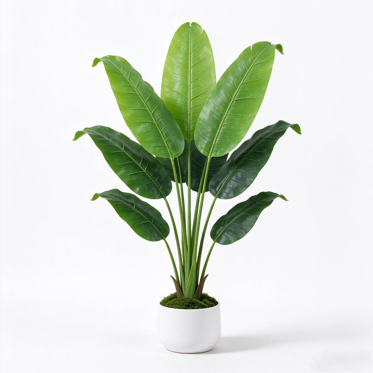 Artificial Bird of Paradise Potted Plant