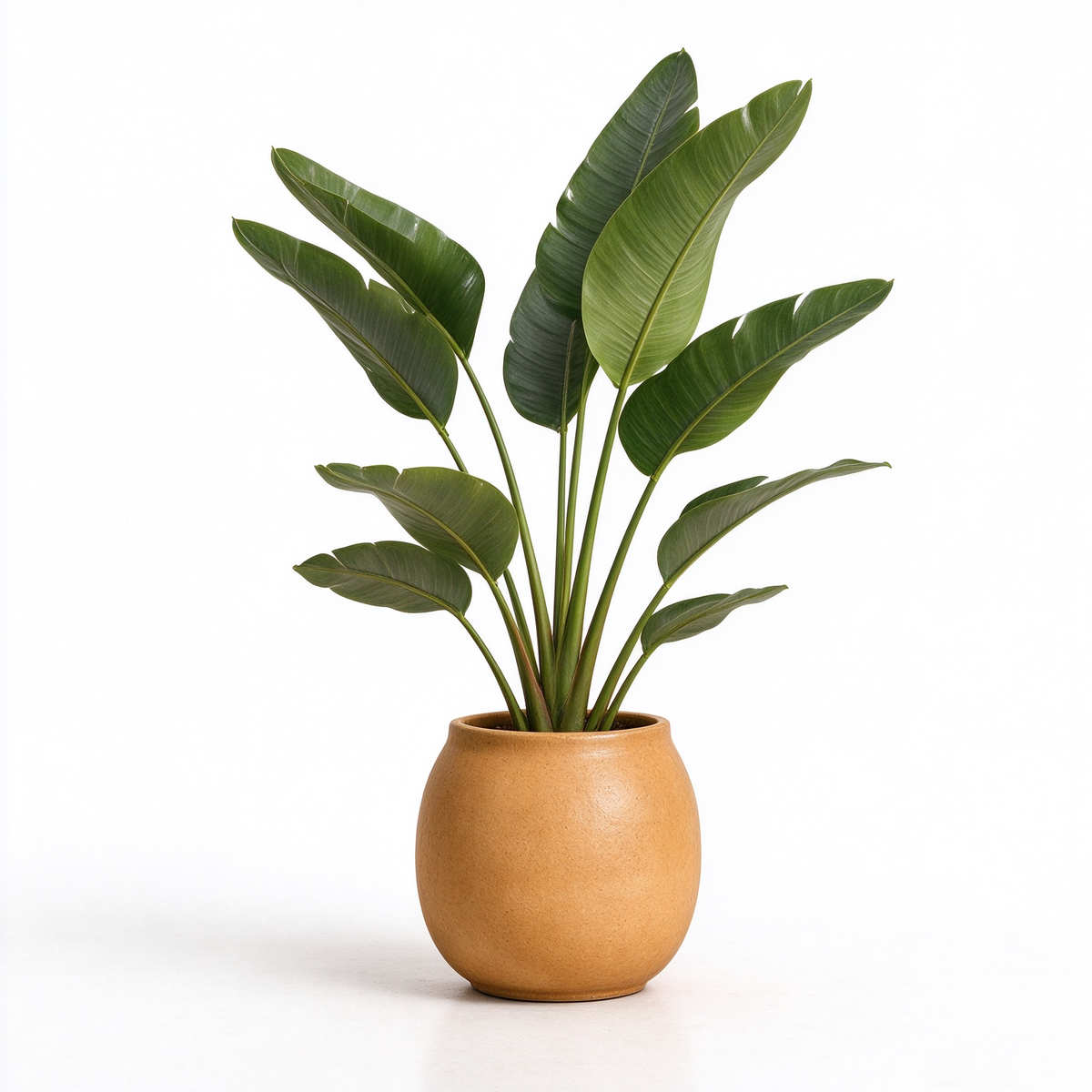 Artificial Banana Leaf Potted Plant