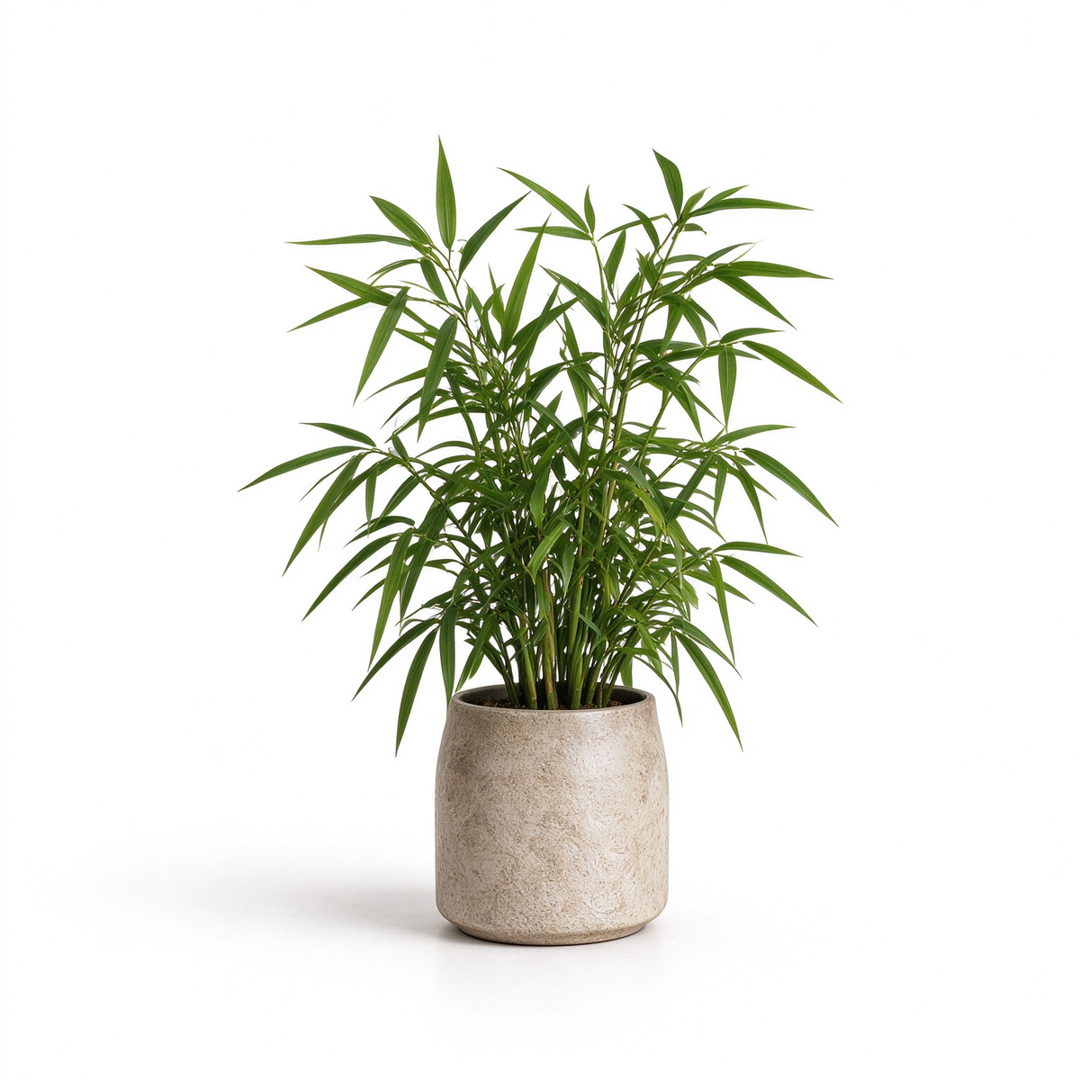 Artificial Small Bamboo Potted Plant