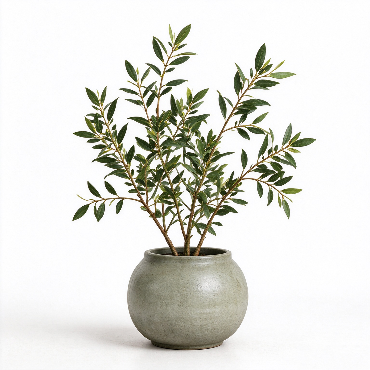 Artificial Olive Leaf Shrub Potted Plant