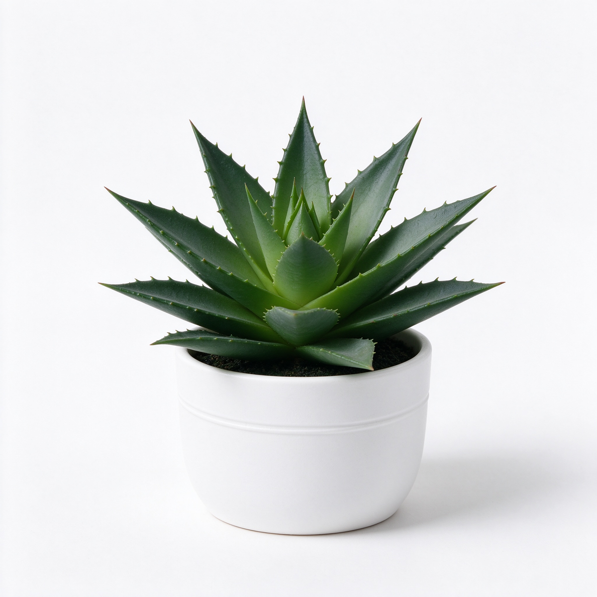 Artificial Aloe Vera Potted Succulent