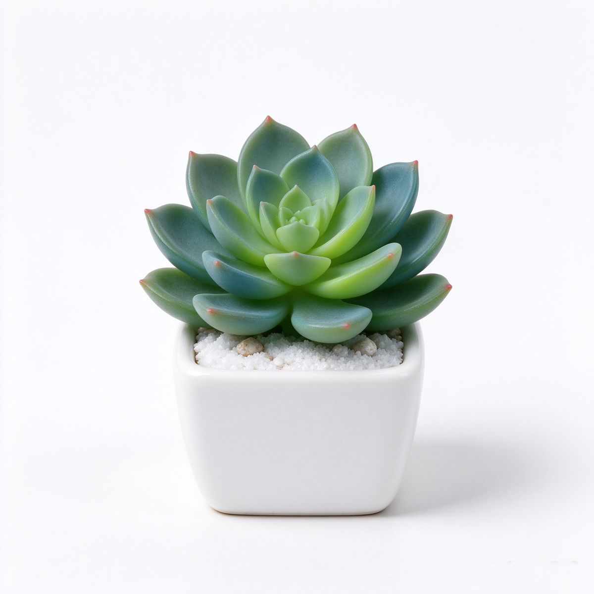 Mini Artificial Rosette Succulent in Square Pot